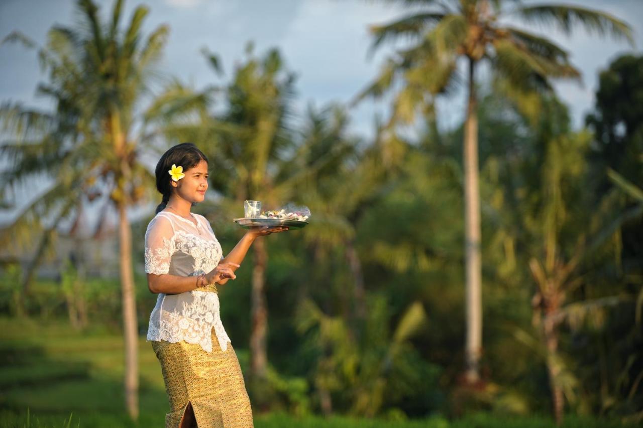 Jegeg Mas Bed and Breakfast Ubud Eksteriør billede